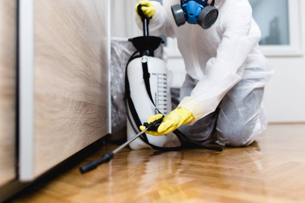 Trusted Lineville, AL Pest Control Experts
