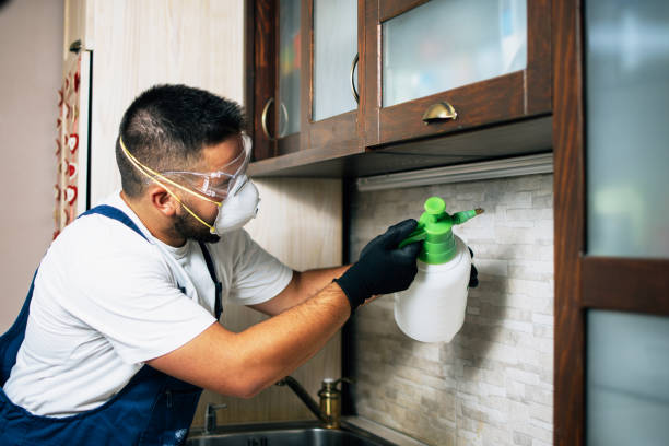 Best Termite Control Services  in Lineville, AL