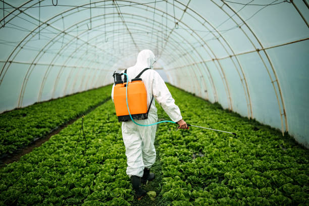 Best Mosquito Control Services  in Lineville, AL