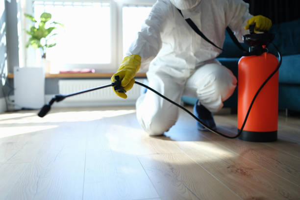 Best Mosquito Control Services  in Lineville, AL