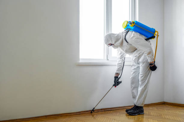 Best Cockroach Control Services  in Lineville, AL