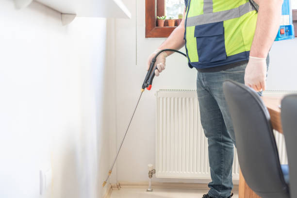 Best Termite Control Services  in Lineville, AL