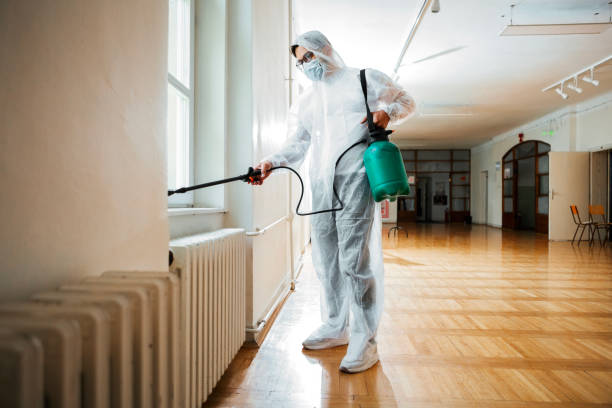 Best Flea Control Services  in Lineville, AL