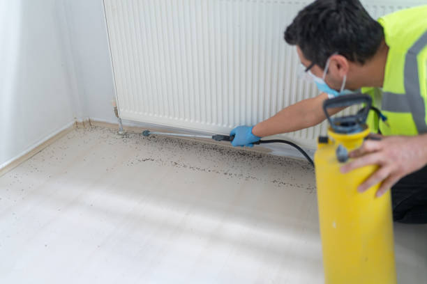 Best Ant Control Services  in Lineville, AL