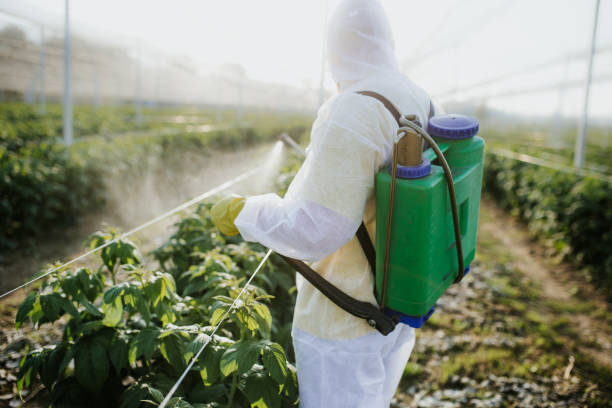 Best Affordable Pest Control Services  in Lineville, AL